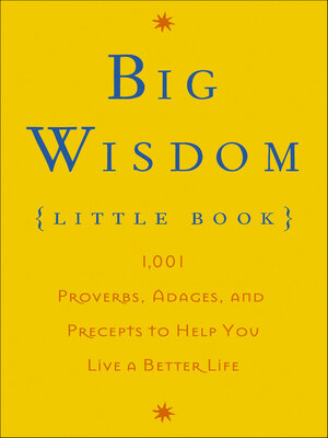 cover image of Big Wisdom (Little Book)